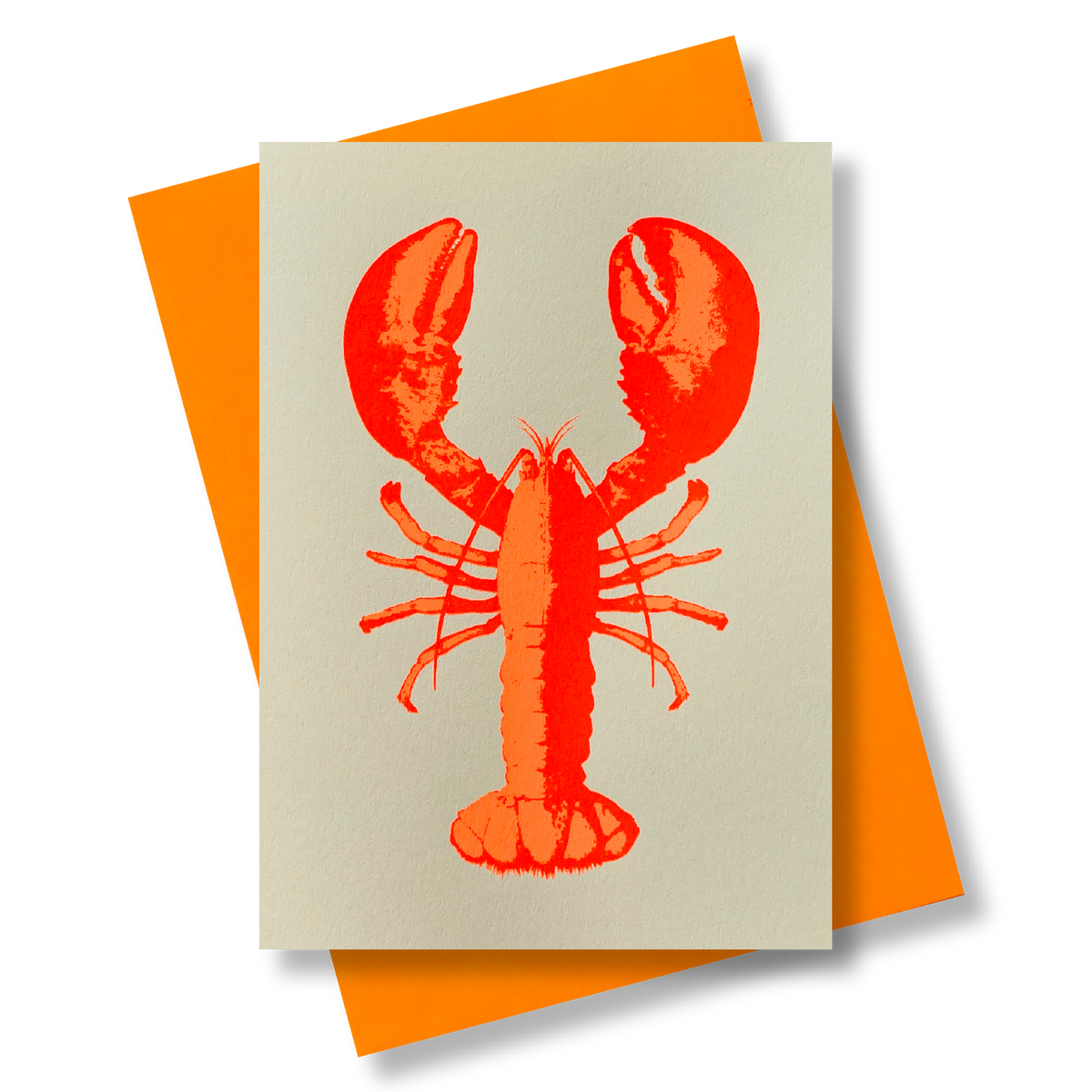 Hummer coralle