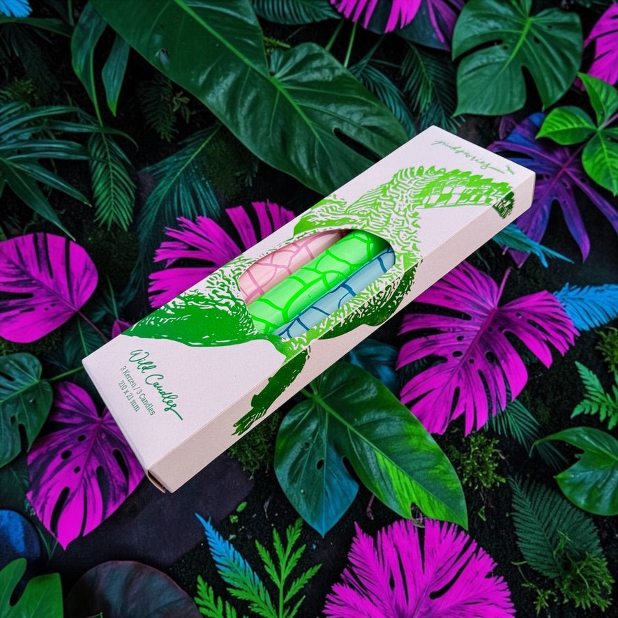 Wild Candles * Crocodile