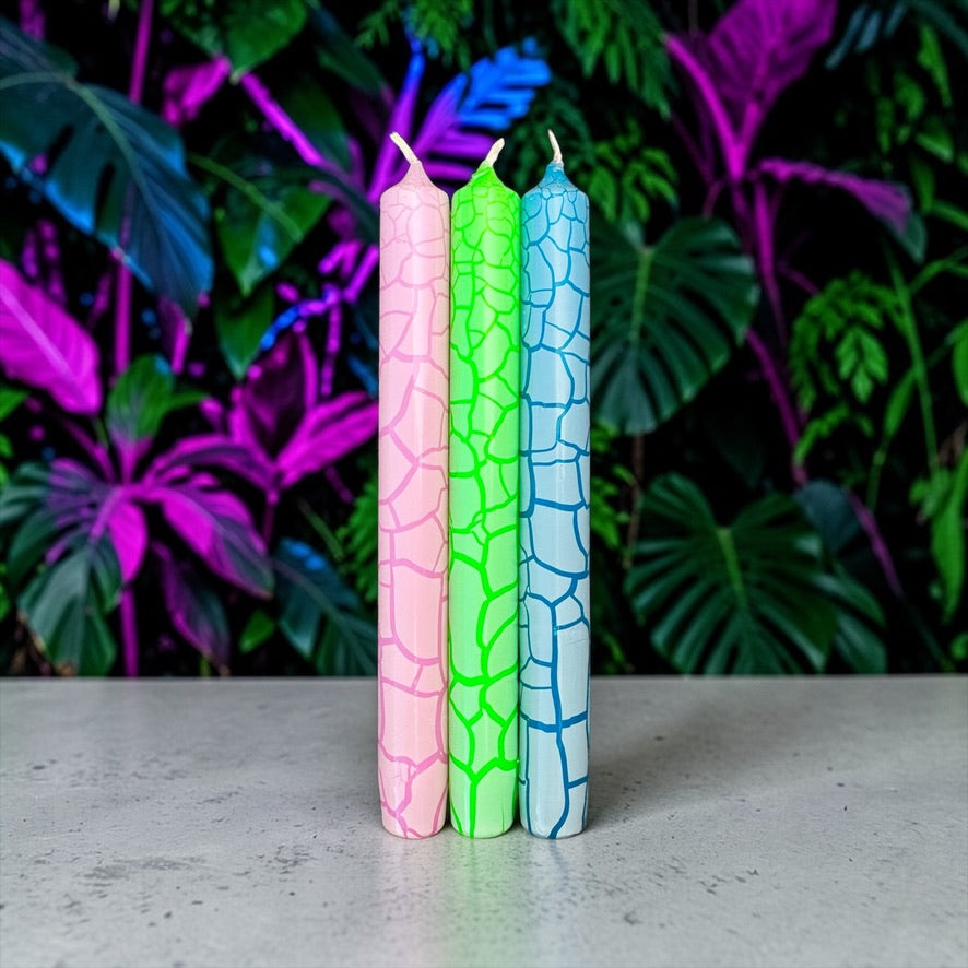 Wild Candles * Crocodile