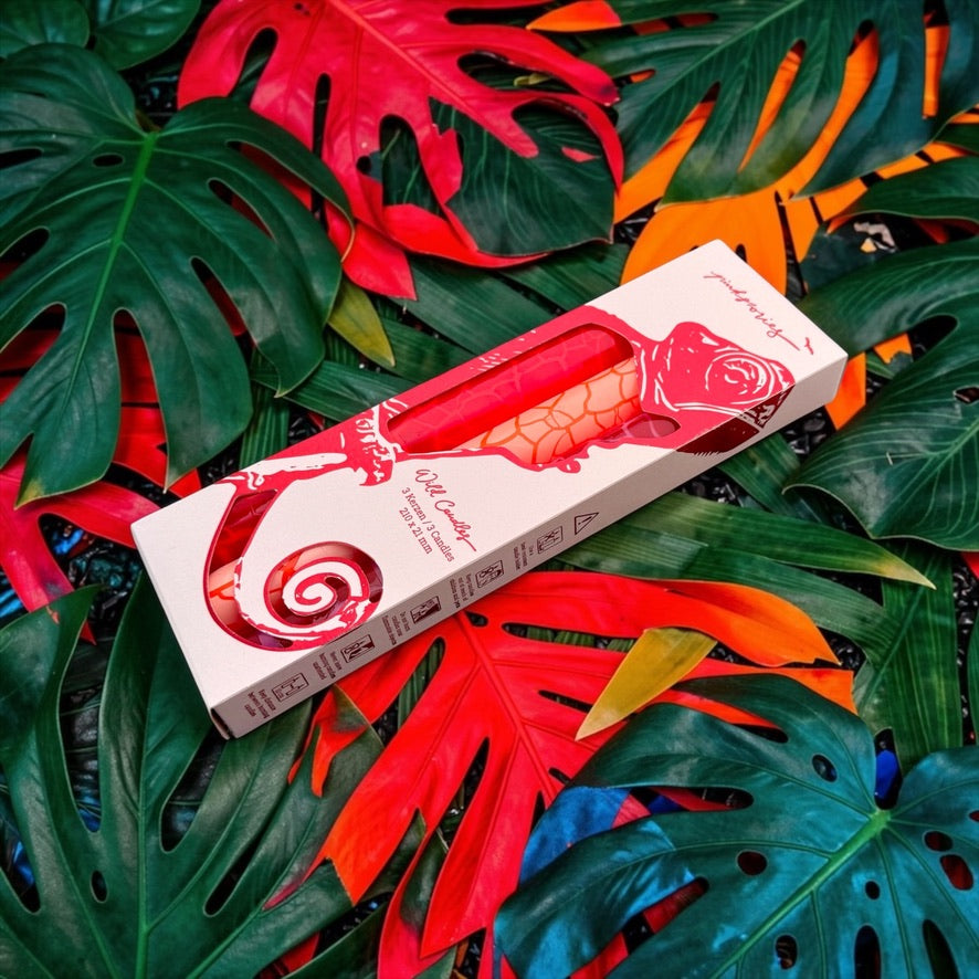 Wild Candles * Chameleon