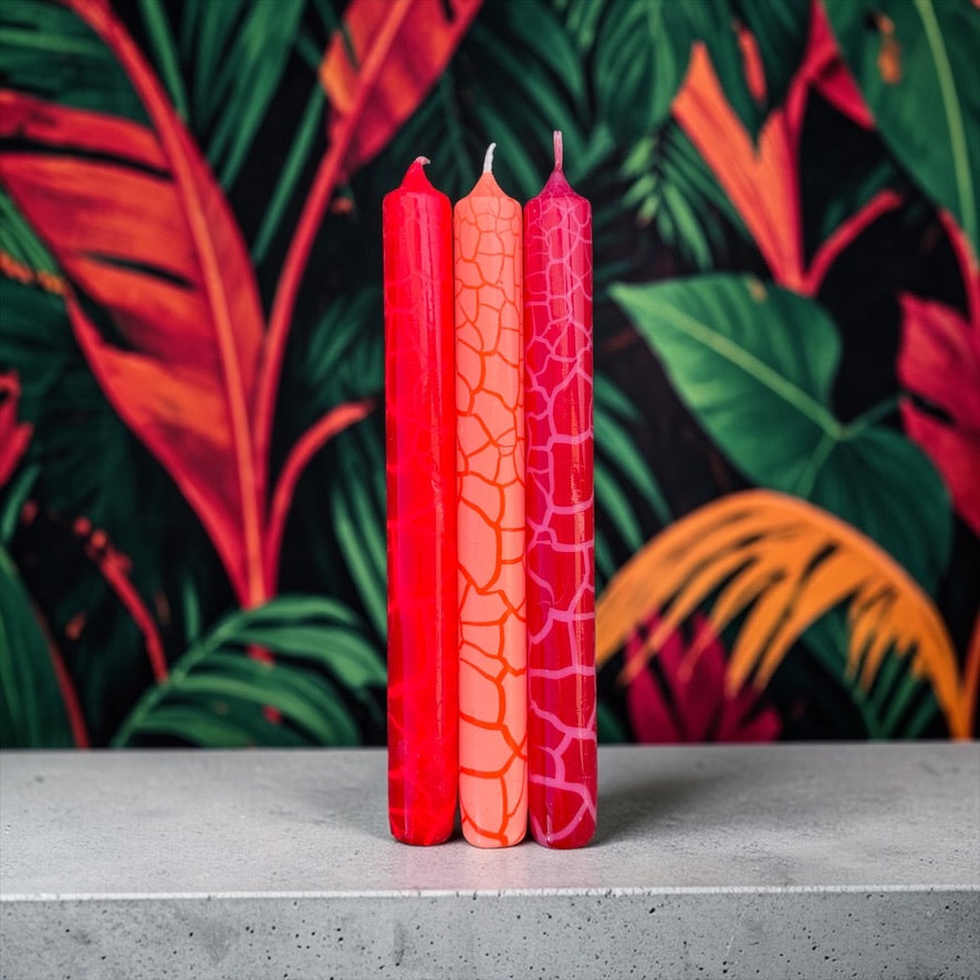 Wild Candles * Chameleon