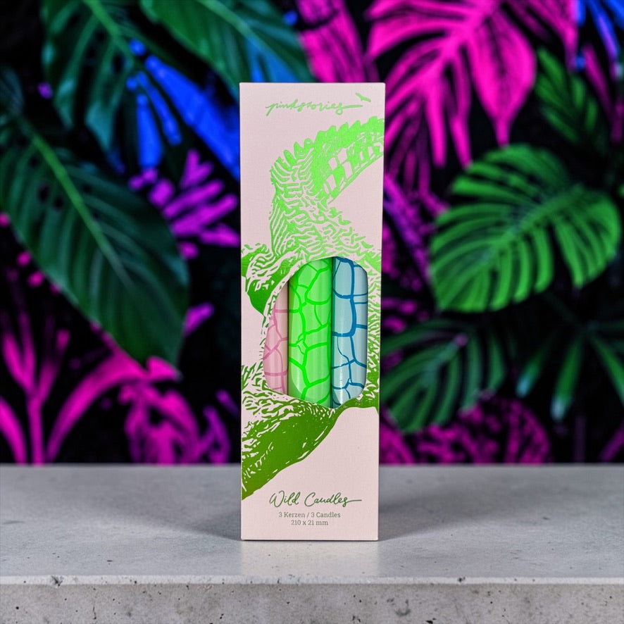 Wild Candles * Crocodile