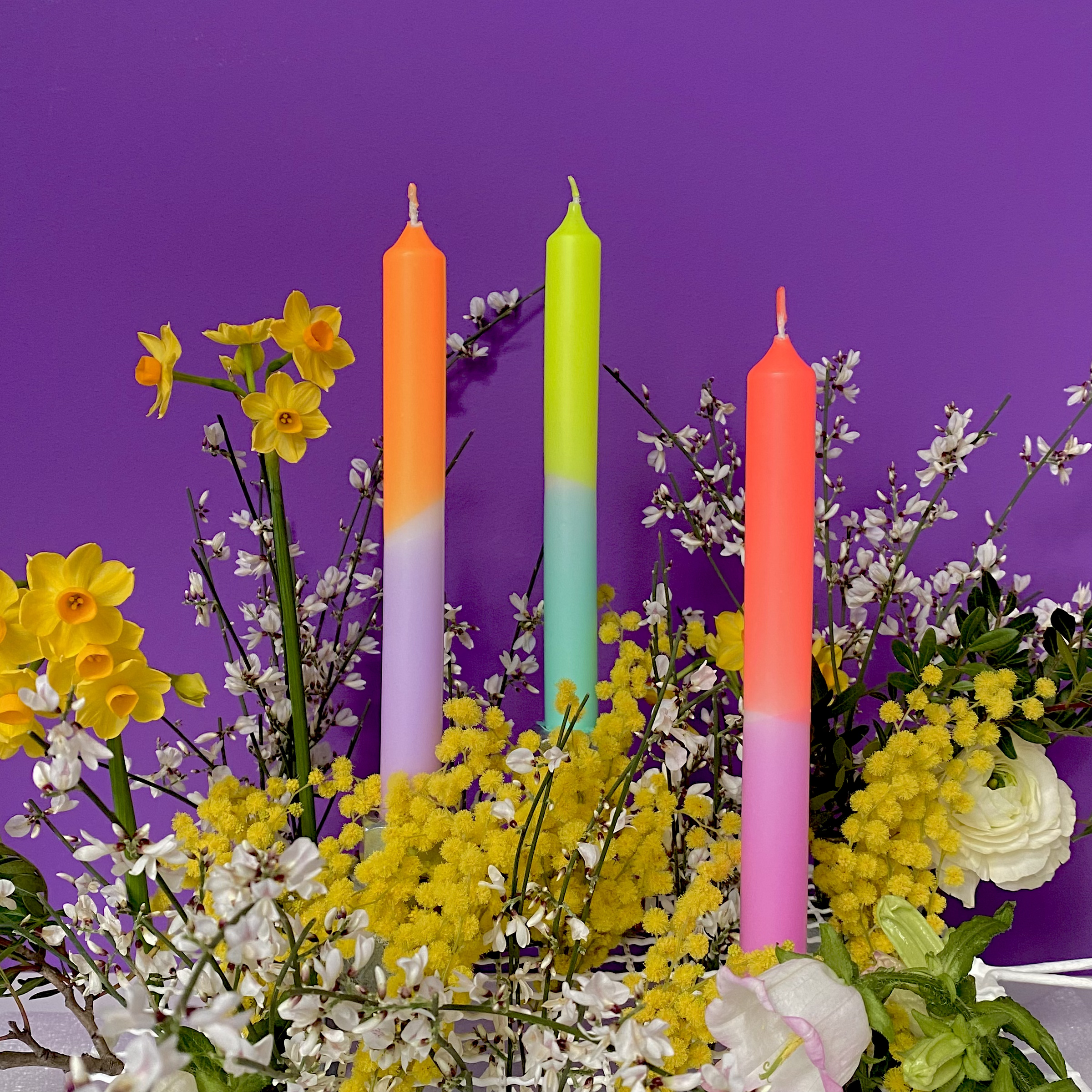 Teindre par immersion Néon * Tulipes pastel