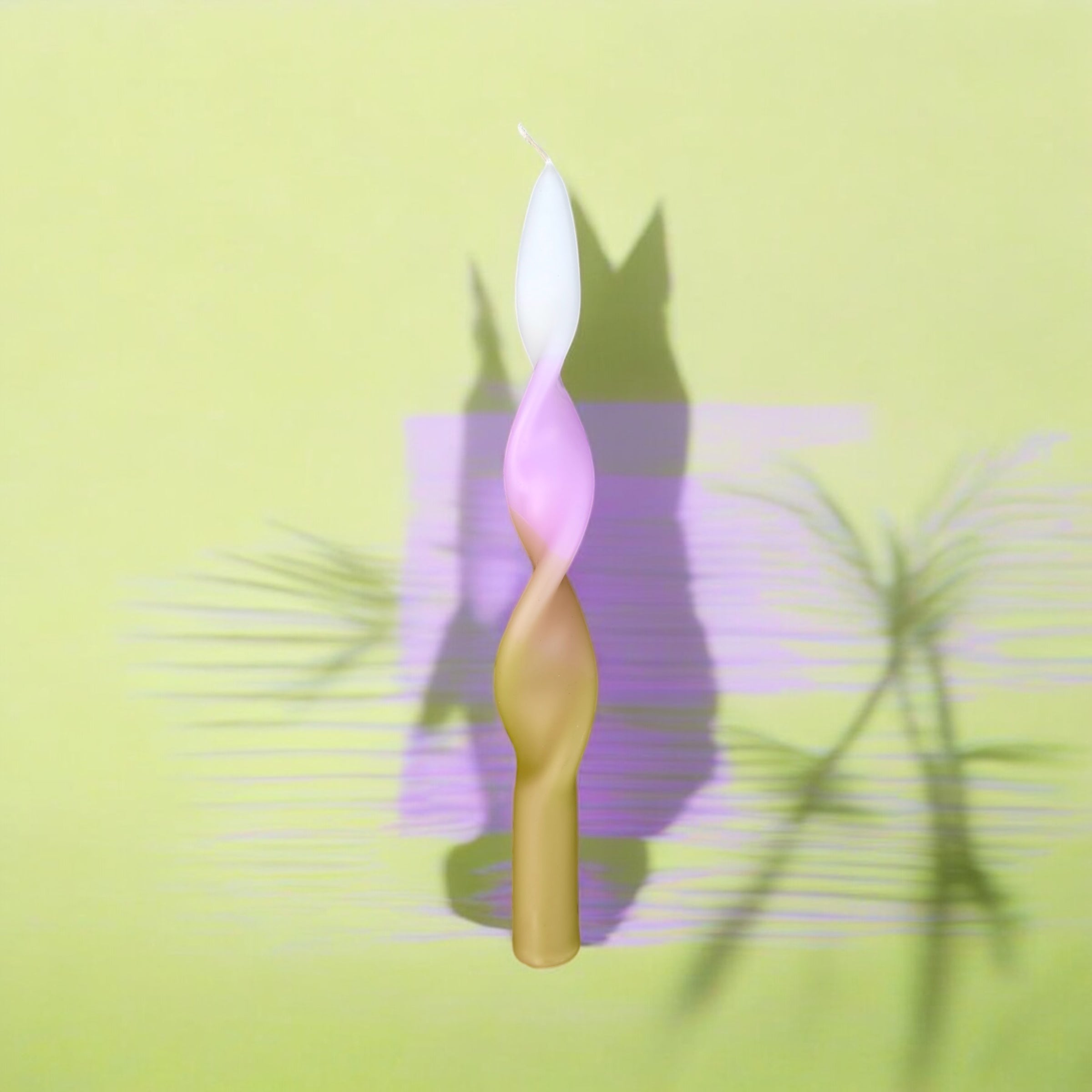 Rainbow Studio * Curly FAB