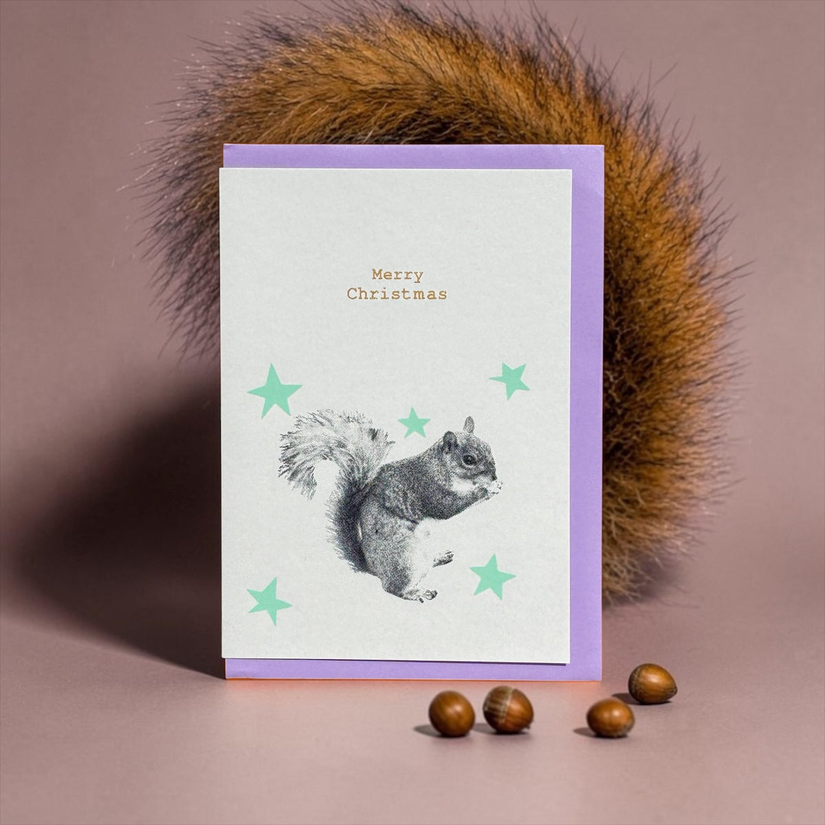 Squirrel Stars lavender