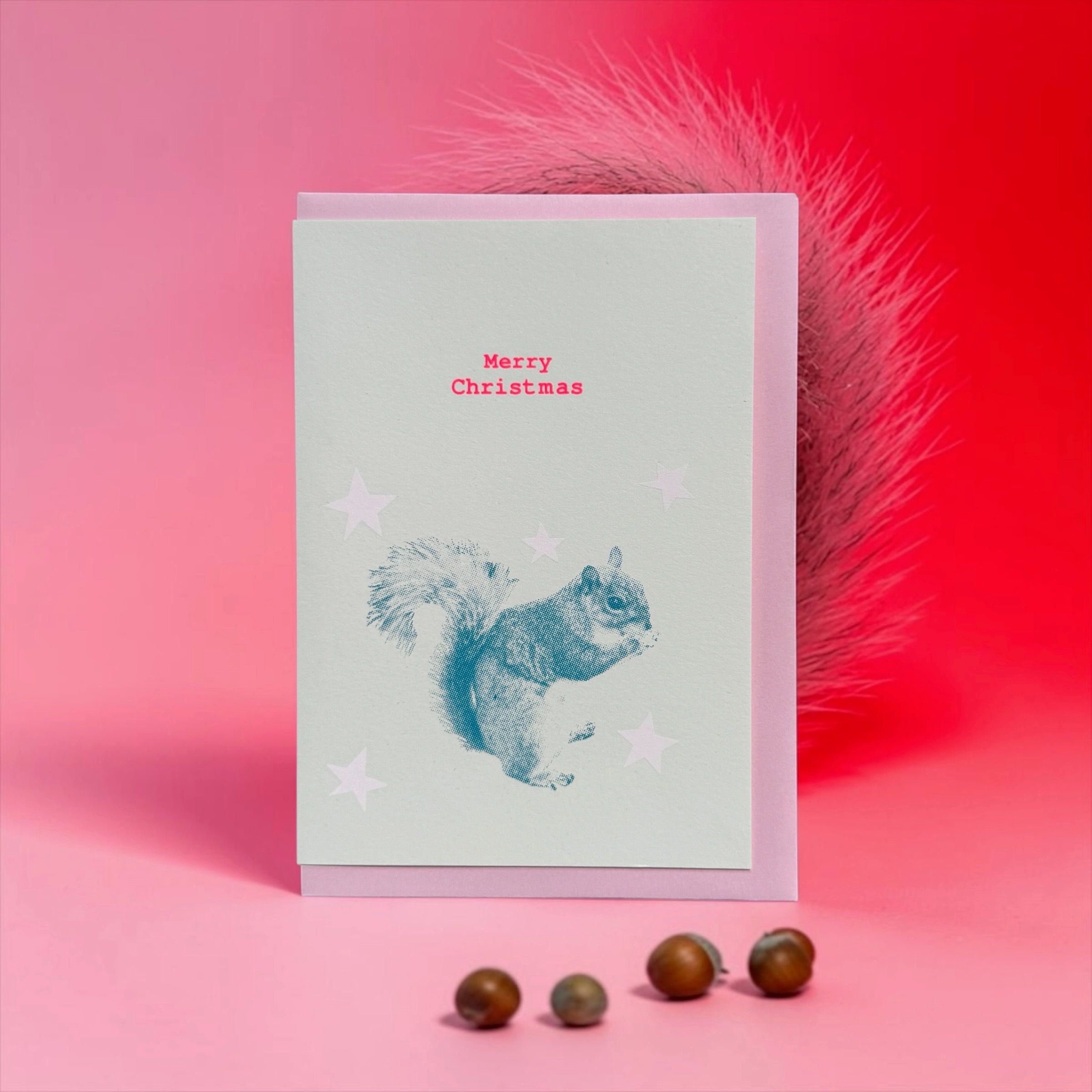 Squirrel Stars bubblegum