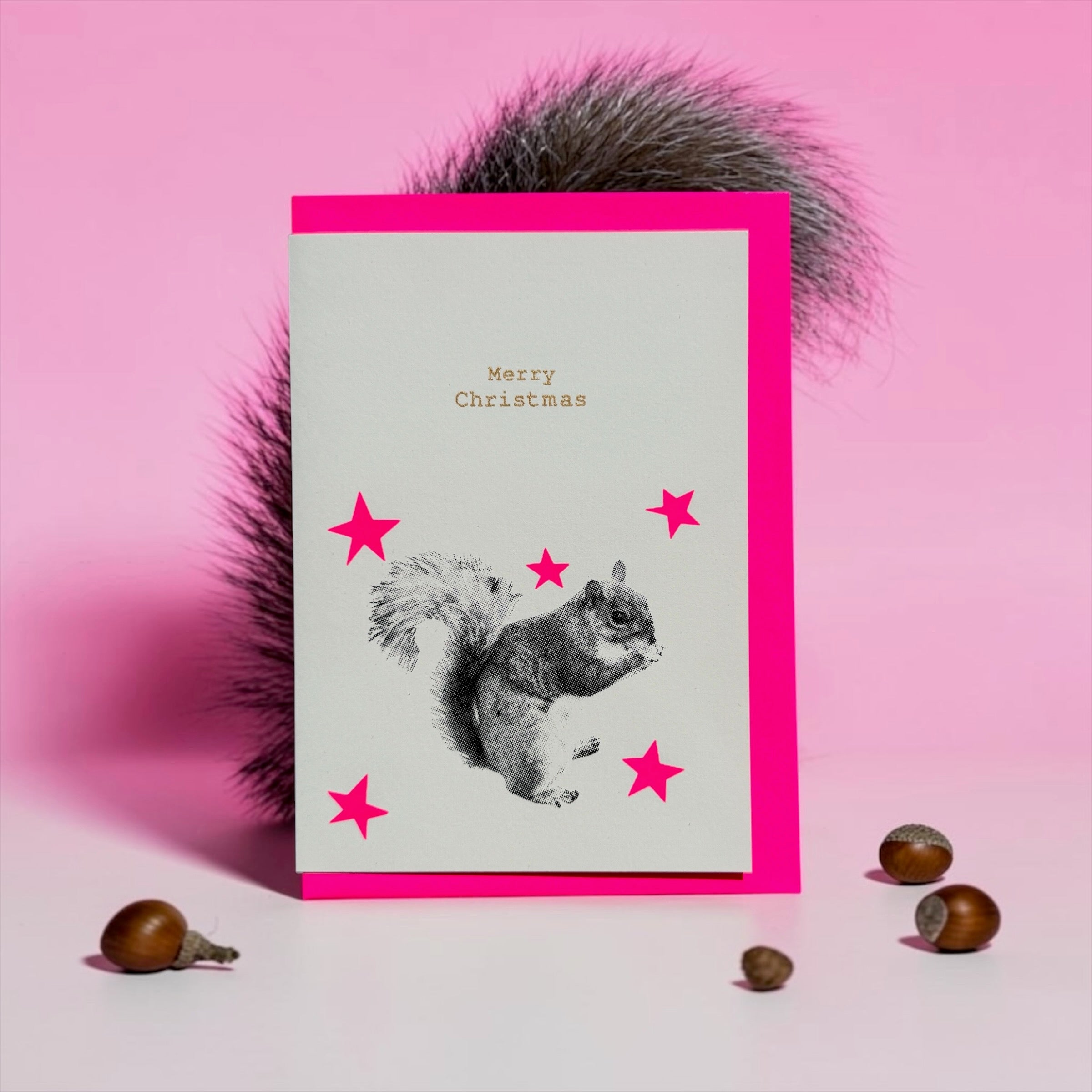 Squirrel Stars pink