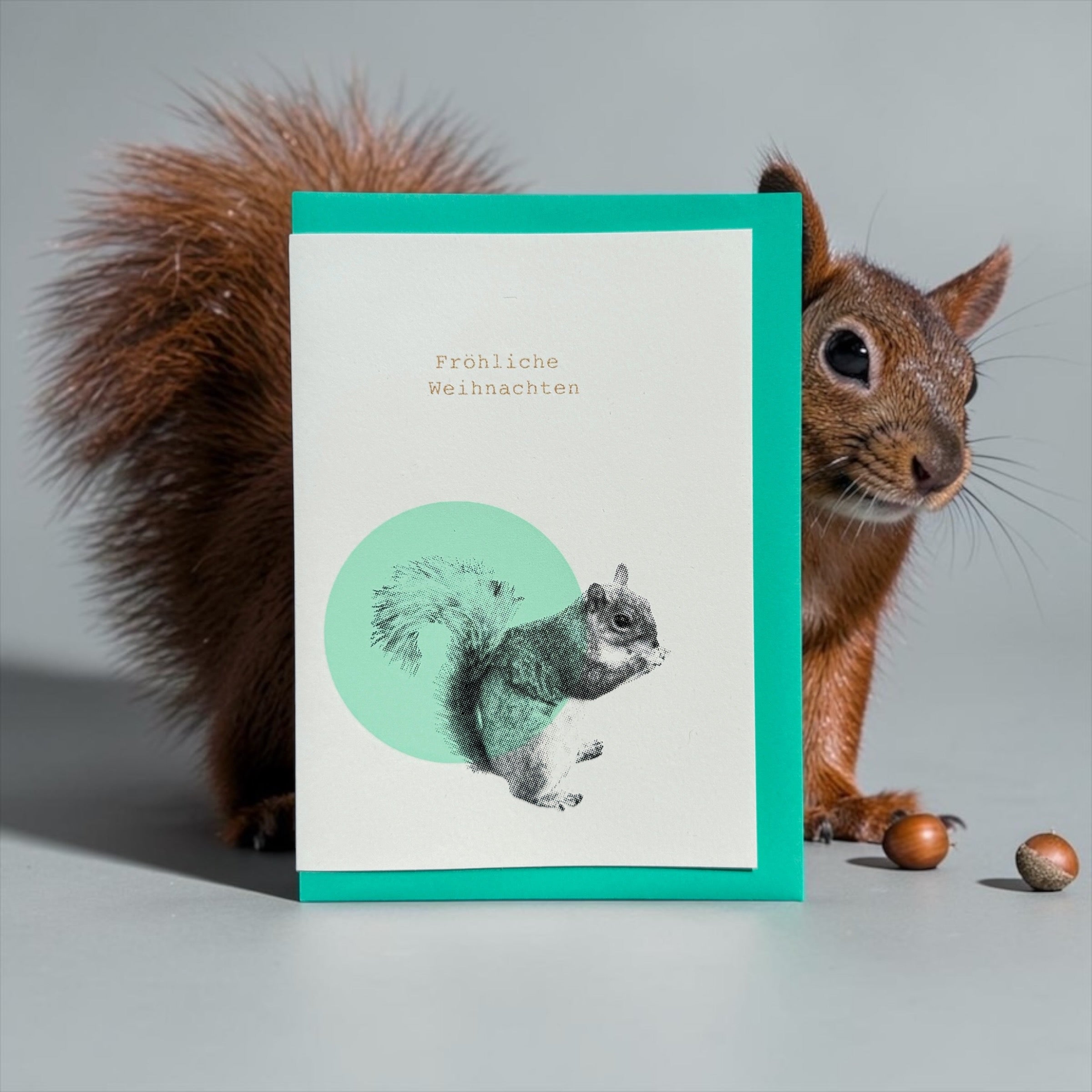 Squirrel Stars mint