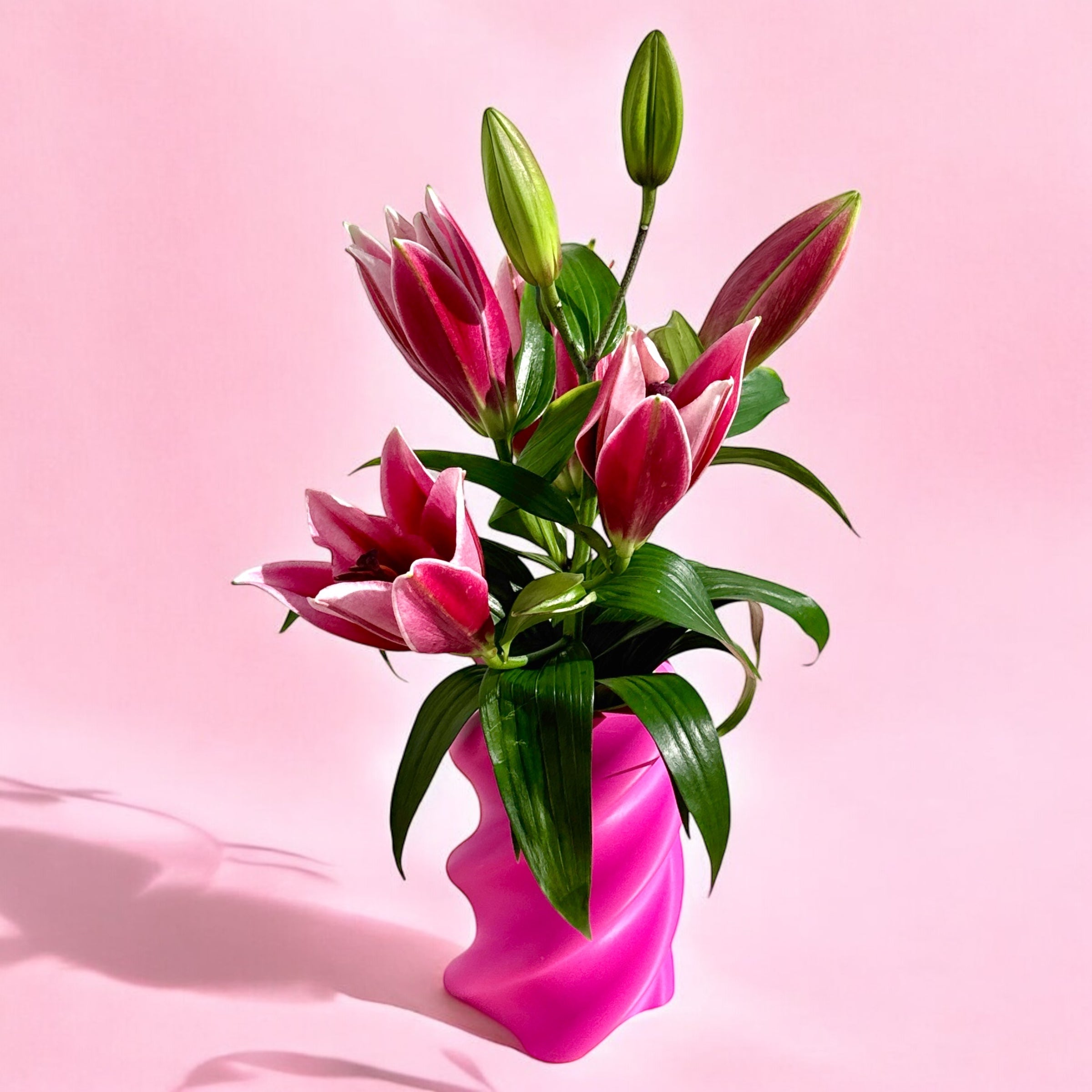 Sway 150% * Magenta