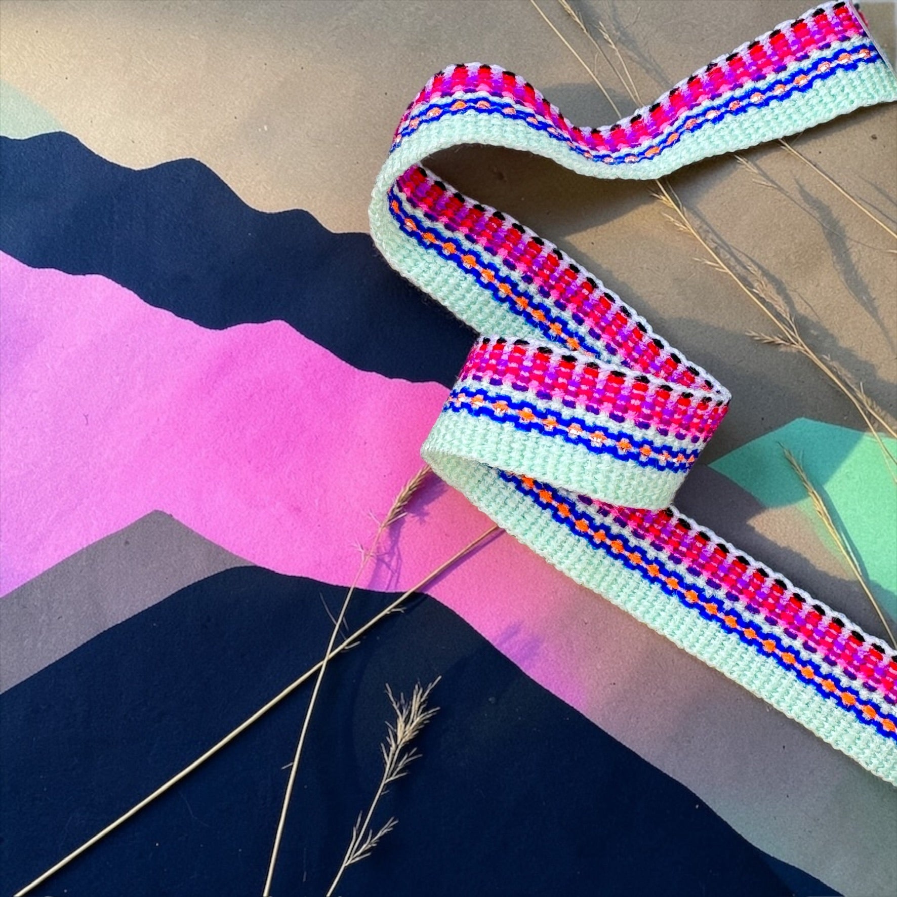 Lama Medio * Santiago