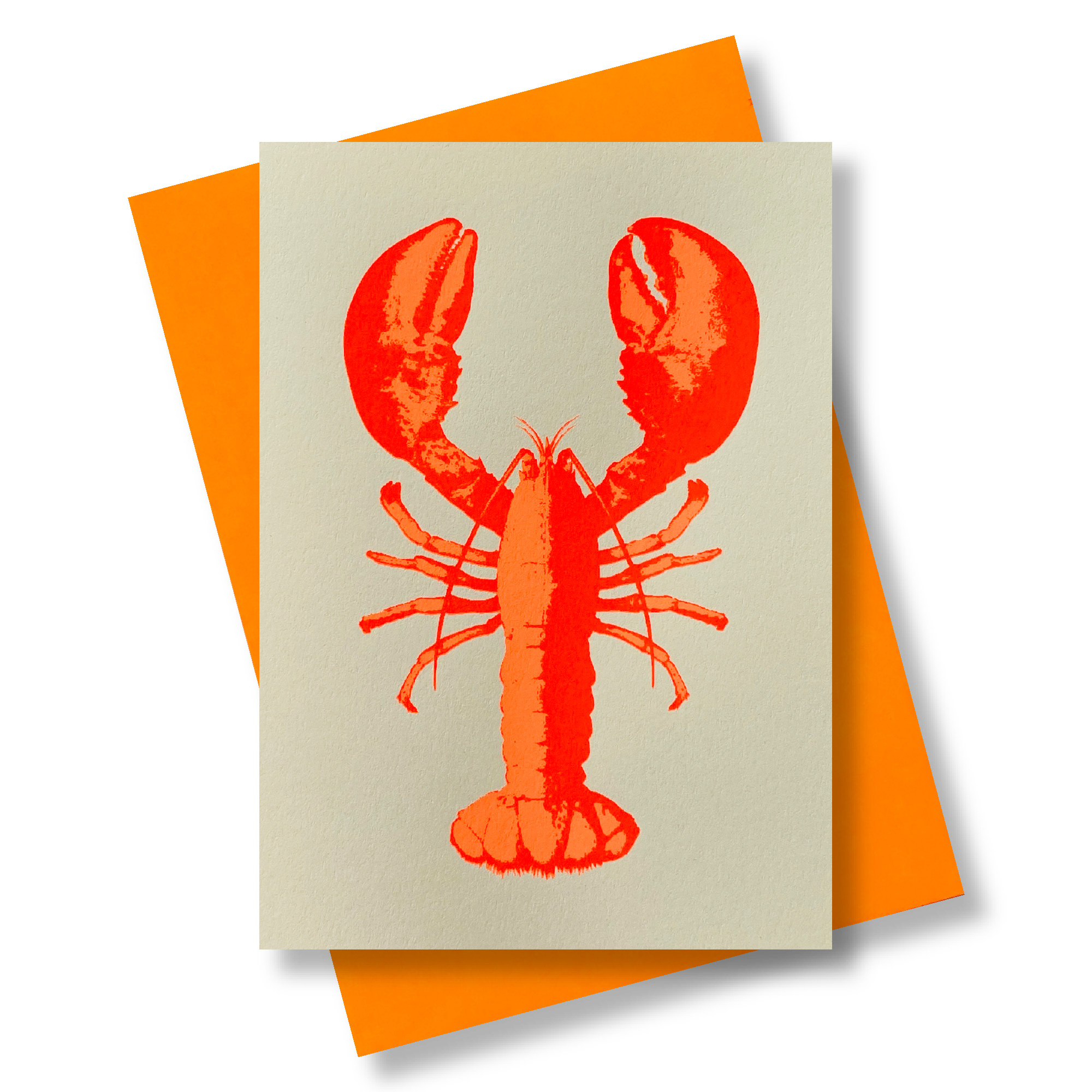 Hummer coralle