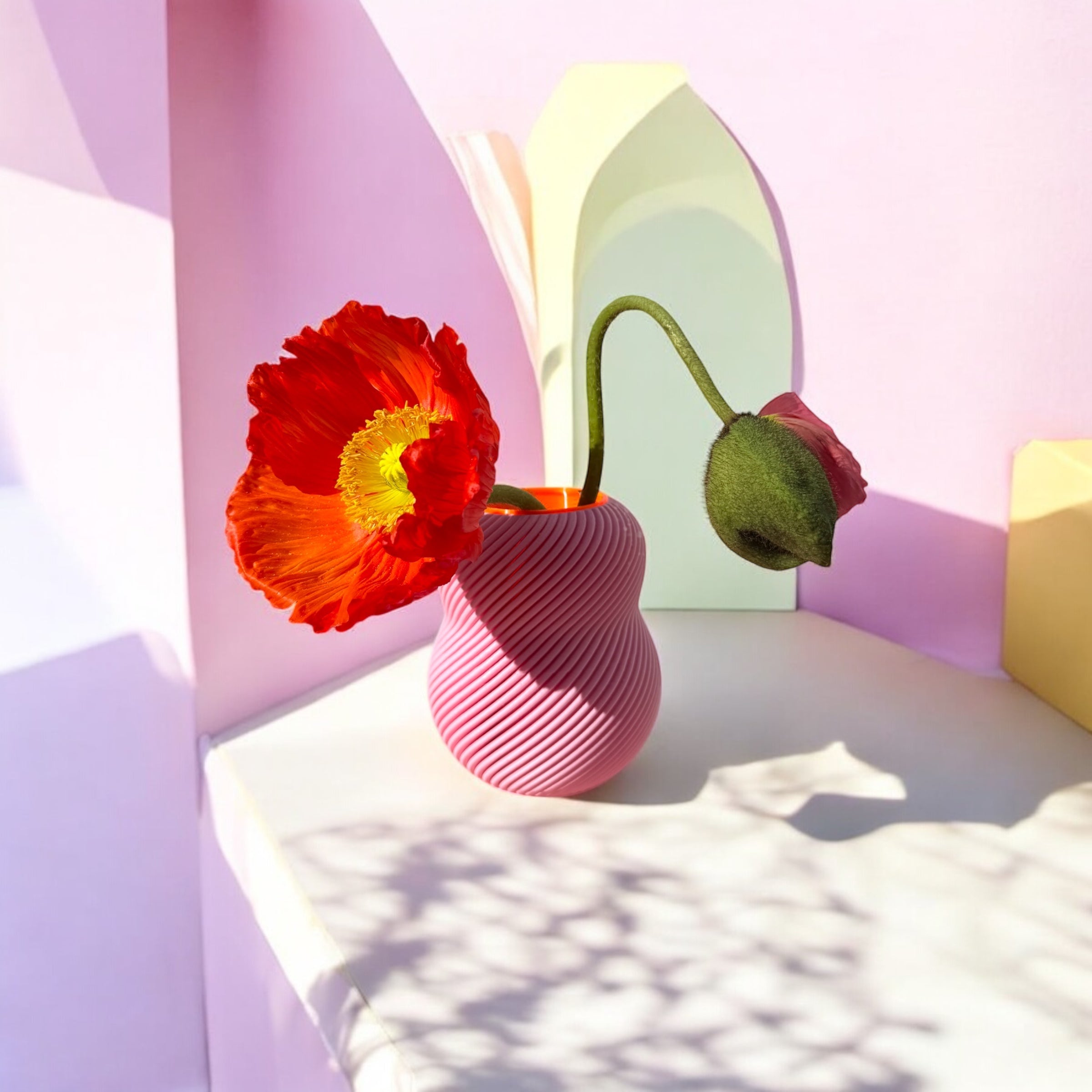 Floraison 100 % * Rose bébé