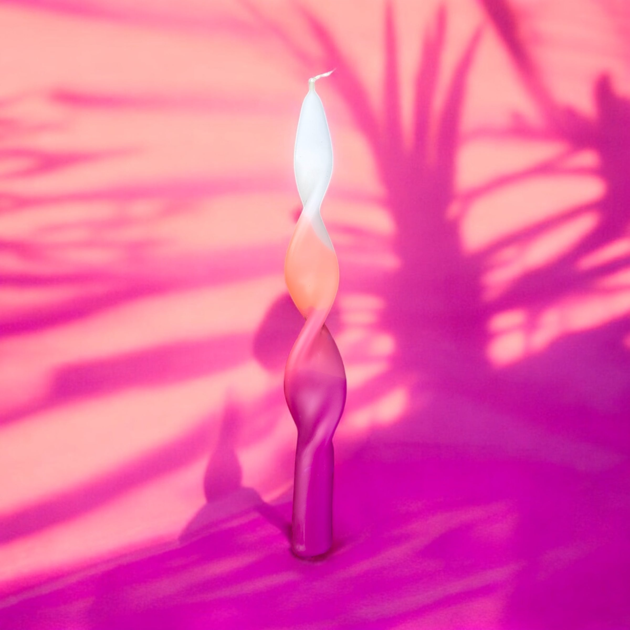 Rainbow Studio * Curly BOFFO