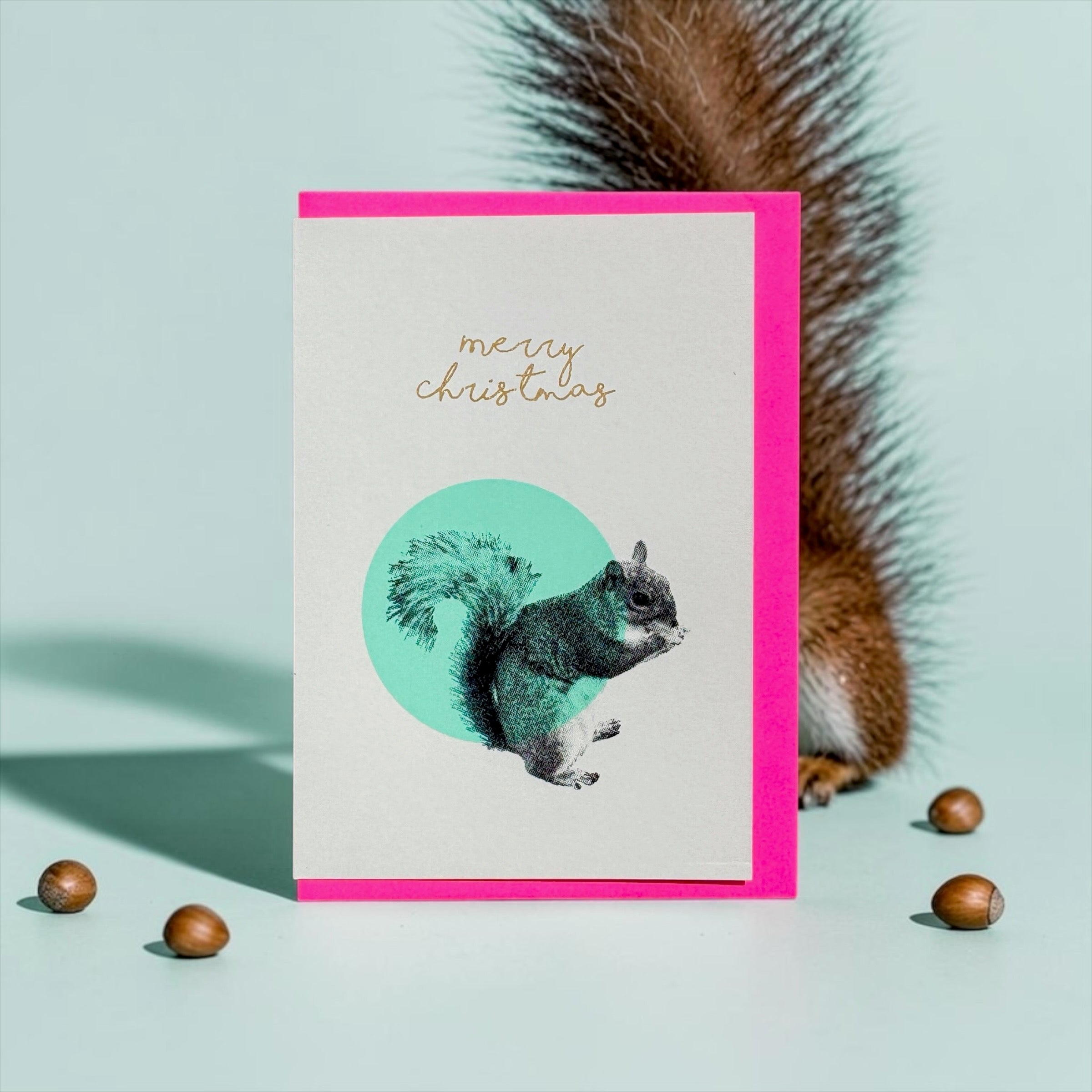 Squirrel Bubble mint
