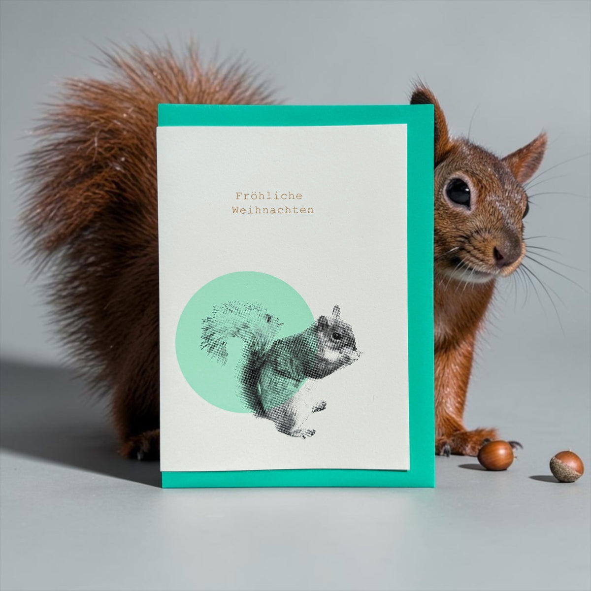 Squirrel Stars mint