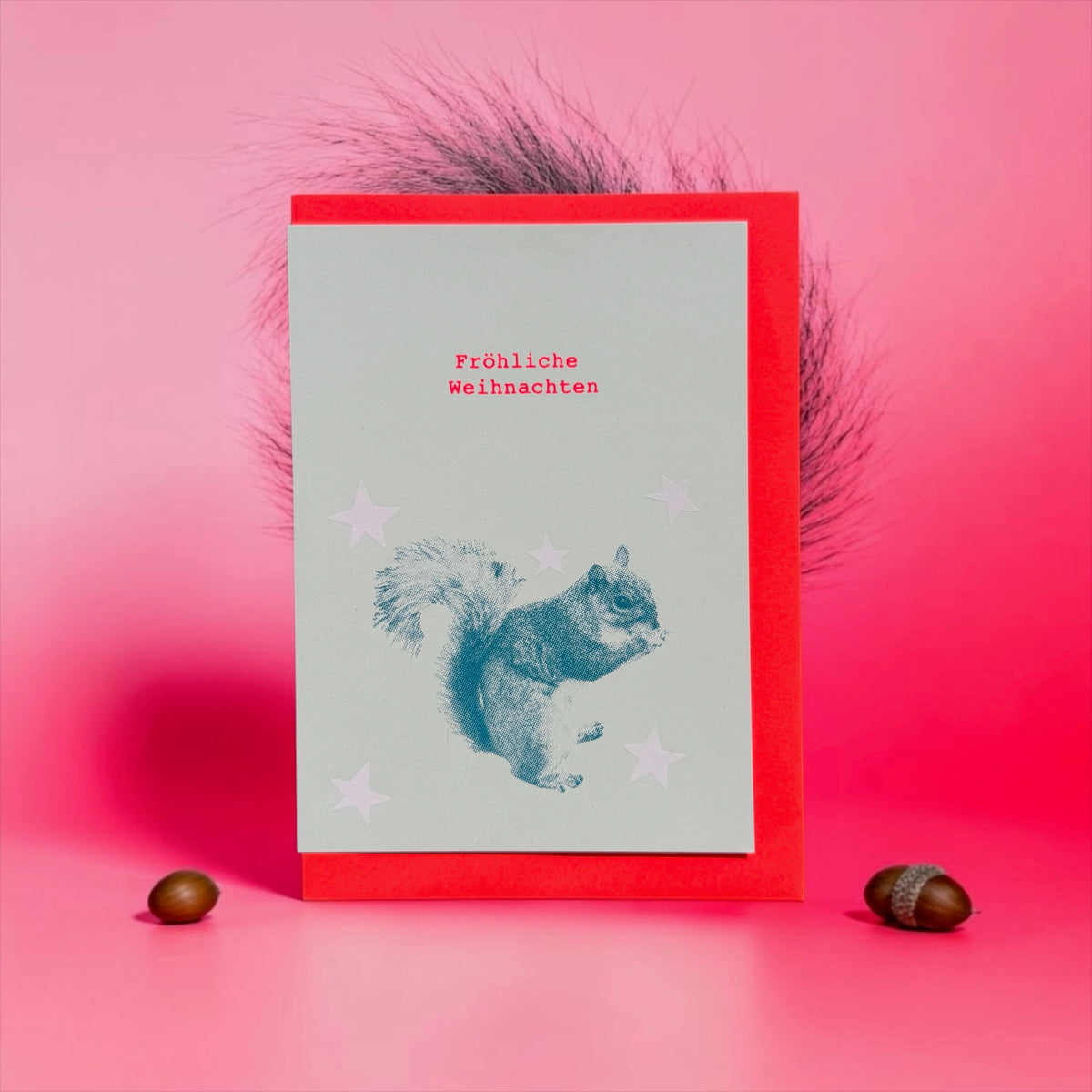 Eichhörnchen Sterne bubblegum